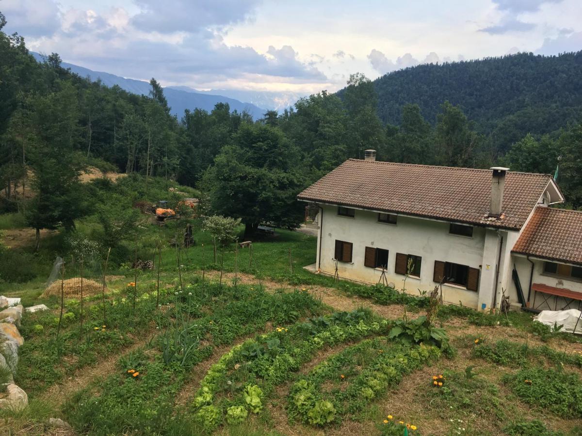 Bosco Delle Rune ..Un Angolo Di Paradiso Platischis Eksteriør billede