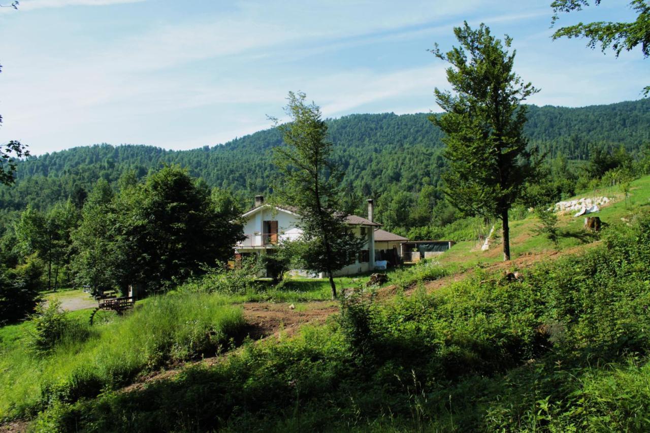 Bosco Delle Rune ..Un Angolo Di Paradiso Platischis Eksteriør billede