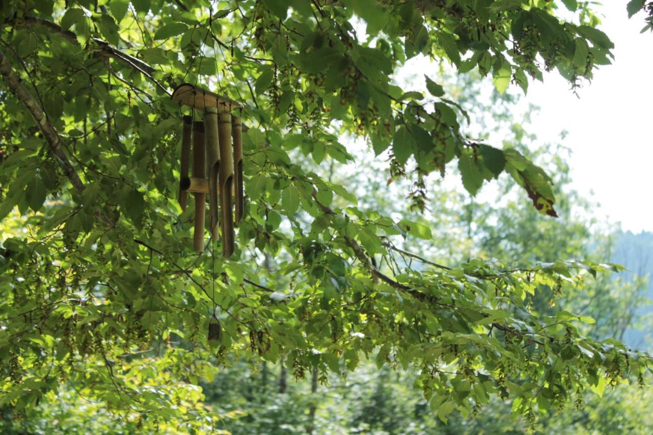 Bosco Delle Rune ..Un Angolo Di Paradiso Platischis Eksteriør billede